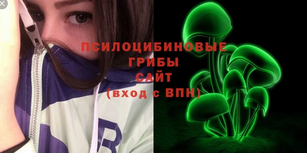 ALPHA-PVP Няндома