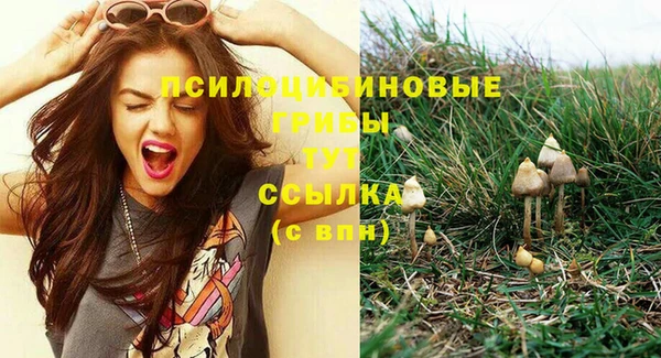 ALPHA-PVP Няндома
